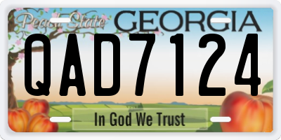 GA license plate QAD7124