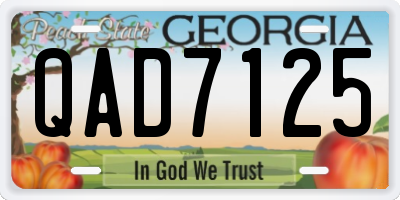 GA license plate QAD7125