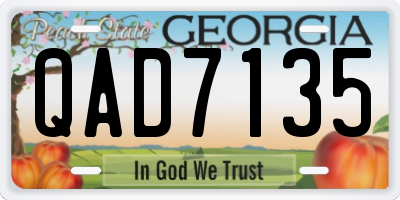 GA license plate QAD7135