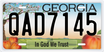 GA license plate QAD7145