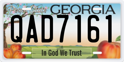 GA license plate QAD7161