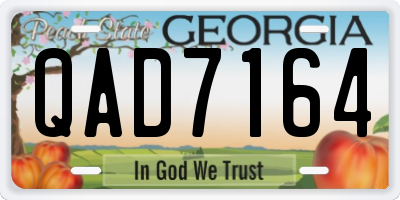 GA license plate QAD7164