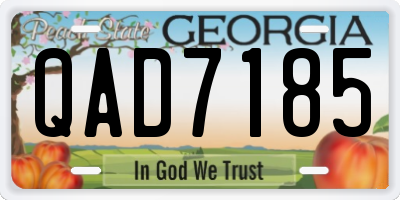 GA license plate QAD7185