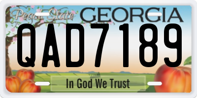 GA license plate QAD7189