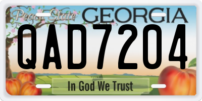 GA license plate QAD7204