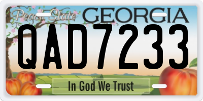 GA license plate QAD7233