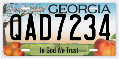 GA license plate QAD7234