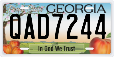GA license plate QAD7244