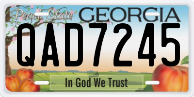GA license plate QAD7245
