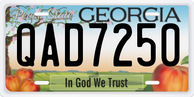 GA license plate QAD7250
