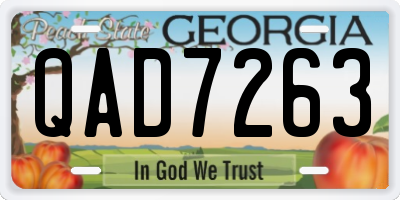 GA license plate QAD7263