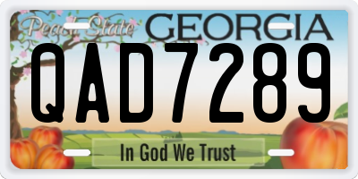 GA license plate QAD7289
