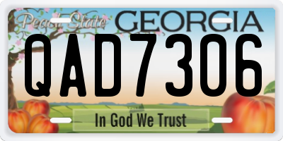 GA license plate QAD7306