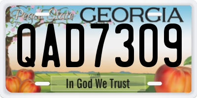 GA license plate QAD7309