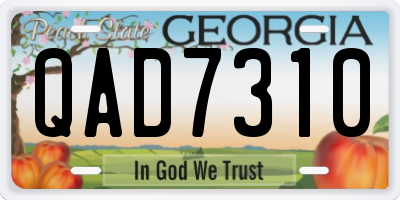 GA license plate QAD7310