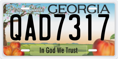 GA license plate QAD7317