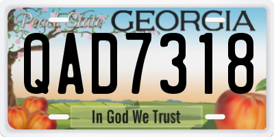 GA license plate QAD7318