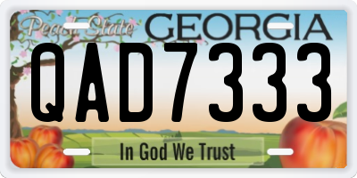 GA license plate QAD7333