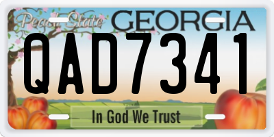 GA license plate QAD7341