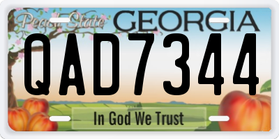 GA license plate QAD7344