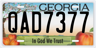 GA license plate QAD7377