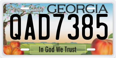 GA license plate QAD7385