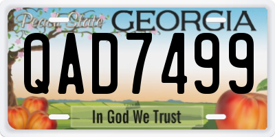 GA license plate QAD7499