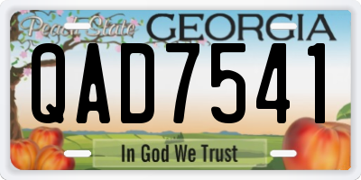 GA license plate QAD7541
