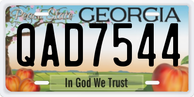 GA license plate QAD7544