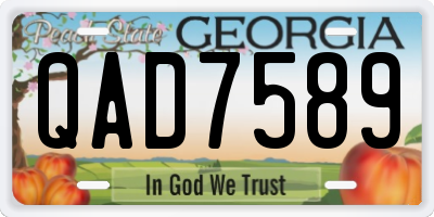 GA license plate QAD7589