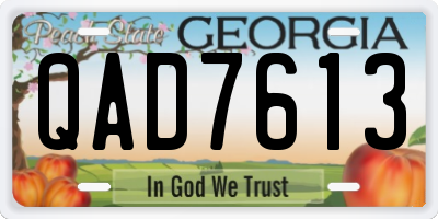 GA license plate QAD7613