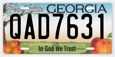 GA license plate QAD7631