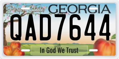 GA license plate QAD7644