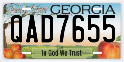 GA license plate QAD7655