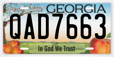 GA license plate QAD7663