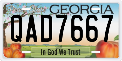 GA license plate QAD7667
