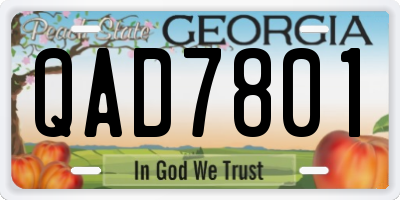 GA license plate QAD7801