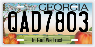 GA license plate QAD7803