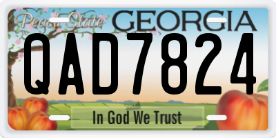 GA license plate QAD7824