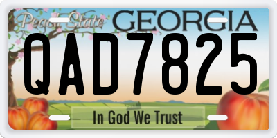 GA license plate QAD7825