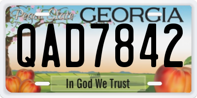 GA license plate QAD7842