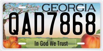 GA license plate QAD7868