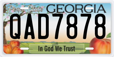 GA license plate QAD7878