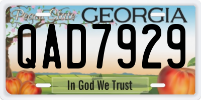 GA license plate QAD7929