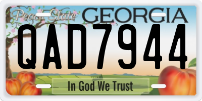 GA license plate QAD7944