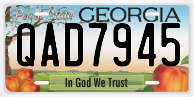 GA license plate QAD7945