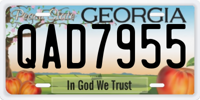 GA license plate QAD7955