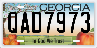 GA license plate QAD7973