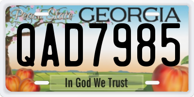 GA license plate QAD7985