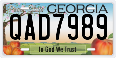 GA license plate QAD7989